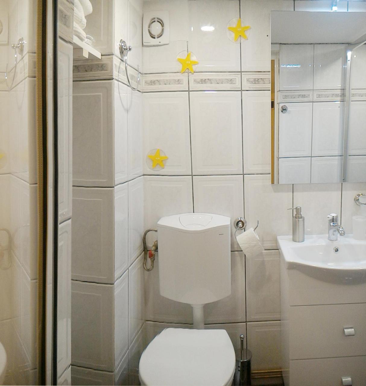 Apartment Republicii Rustic In Center